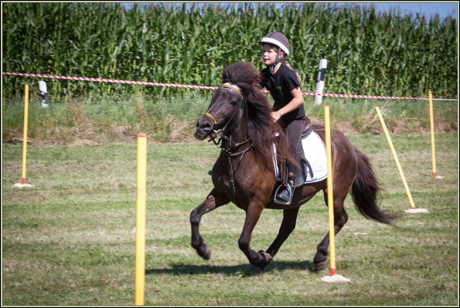 Mounted Games 016